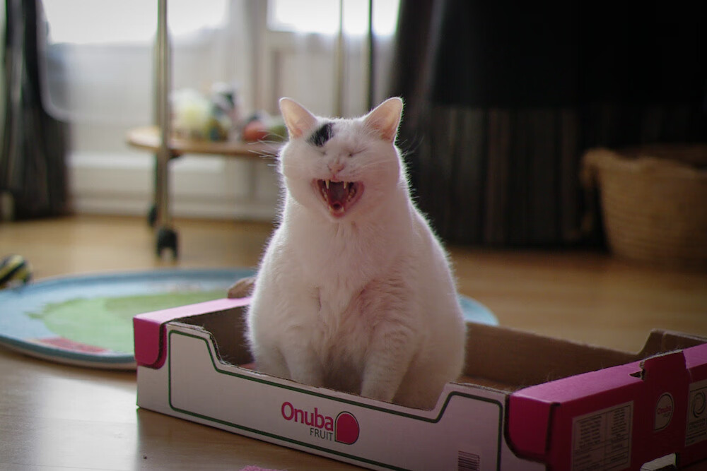 全国青少年沙滩排球赛在海南热情开启，2020年海南省沙滩排球锦标赛