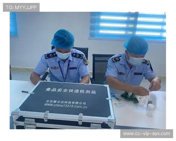 云达防线高压下可能暴露漏洞——破解安全屏障的隐忧与救赎