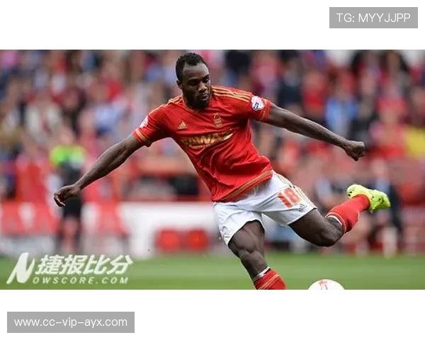 诺丁汉森林相关动态：伤情更新解读